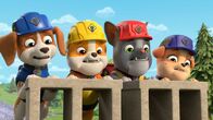 Rubble und Crew – v.li.: Wheeler, Rubble, Charger, Mix