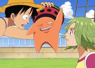 One Piece – Do, 16.10., 16:45 Uhr