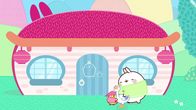 Molang – Eine Gans sucht ein Zuhause und die beiden Freunde nehmen sie auf. Nachts macht sie aber so einen Krach, dass keiner mehr schlafen kann.