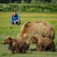 Faszination Erde – Der Klimawandel verändert die Jahresrhythmen in Alaska. Braunbären müssen deshalb ihr Fressverhalten anpassen.