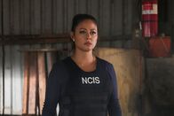 Navy CIS: Hawaii – Navy CIS: Hawaii (2022)