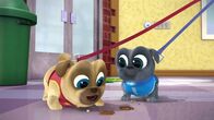 Welpen Freunde – L-R: Rolly (voiced by Sam Lavagnino), Bingo (voiced by Issac Ryan Brown)