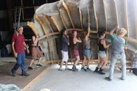 Shipping Wars - Die Transporter – Do, 12.05., 07:50 Uhr