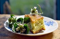Zu Tisch ... – Ein Zitronen-Mohn-Kuchen mit Blüten der Brunnenkresse
