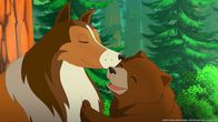 Lassie – Das Bärenjunge verabschiedet sich von Hündin Lassie.