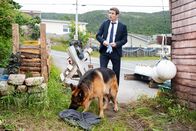 Hudson & Rex – Rex (Diesel vom Burgimwald) und Detective Charlie Hudson (John Reardon)
