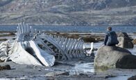 Leviathan – Romkas (Sergey Pokhodaev) Welt ? das Haus seines Vaters und seiner Familie an der Barentssee ? ist schön, hart und dem Tod geweiht.