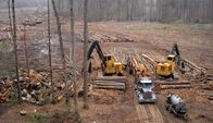 Holzfäller extrem – Fourth generation logger Bobby Goodson is one of the rare breed of swamp-loggers working the murky, dangerous swamps of North Carolina in search of high value timber for everything from paper products to construction grade lumber.