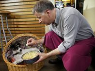 In aller Freundschaft – Dr. Roland Heilmann (Thomas Rühmann) hilft seinem Sohn Jakob im Bistro und muss gleichzeitig noch auf Hund Hugo aufpassen. Als ein Gast bezahlen will, bemerkt er das Fehlen des Kassenschlüssels und findet nur noch das abgekaute Schlüsselbändchen in Hugos Korb. Um schnell das verlorene Teil wiederzubekommen, versucht er Hugo dazu zu bewegen Sauerkraut zu fressen und so den Schlüssel aus Hugos Magen schnell wiederzubekommen.