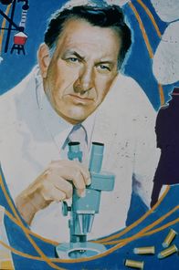 Quincy – Dr. Quincy (Jack Klugman) hat seine lukrative Privatpraxis aufgegeben, um in den Dienst des gerichtsmedizinischen Instituts zu treten. Immer wieder muss er feststellen, dass sich hinter vermeintlich natürlichen Todesursachen Tötungsdelikte verbergen ...