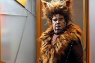 Modern Family – Cam (Eric Stonestreet) steckt in einem Dilemma: Wenn er sich um die Hauptrolle im Musical CATS bemüht, muss er den Kampf um seinen Lieblingsbaum im Park aufgeben. Kann ihn möglicherweise jemand vertreten?