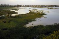 Reich an Wasser – Seit den 1950er Jahren leidet das einzigartige Ökosystem des Nationalparks Coto de Doñana unter den Auswirkungen intensiver Landwirtschaft.
