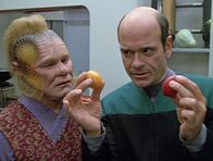 Star Trek - Raumschiff Voyager – Mo, 06.04., 19:05 Uhr