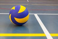 Volleyball: WVL – Volleyball ball