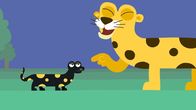Animanimals – Der Leopard macht sich über den Feuersalamander lustig.