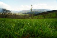 P.M. Wissen – Was macht die „perfekte“ Weide aus?
