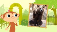 StoryZoo – Sa, 17.02., 07:00 Uhr