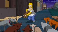 Die Simpsons – Die Simpsons (2017)