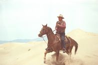 Dreckiges Gold – Lane (John Wayne)