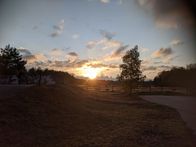 Welt der Tiere – Sonnenaufgang im Tennenloher Forst.