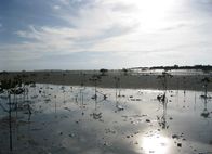Wilde Inseln – Strahlende Sonne auf den Philippinen