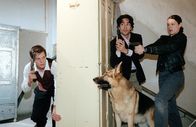 Kommissar Rex – (v.li.) Johannes Zirner (Fritz Pokorny), Alexander Pschill (Marc Hoffmann), Elke Winkens (Niki Herzog).