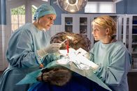 Tierärztin Dr. Mertens – Sa, 20.01., 10:05 Uhr