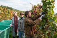 SOKO Stuttgart – Ein außergewöhnlicher Fall: Winzermeister Henry Engler (Matthias Ziesing, r.) wird verdächtigt, seine Schwägerin erschlagen zu haben. Ob er der Täter ist, weiß er selbst nicht – er kann sich an nichts erinnern. Seit einem Skiunfall leidet er an anterograder Amnesie, neue Erinnerungen kann er lediglich für 5 Stunden abspeichern. Marie Holler (Marie Rönnebeck, M.), die Schwester des Opfers und Henrys Frau informiert Kriminalkommissarin Martina Seiffert (Astrid M. Fünderich, l.) über den Zustand ihres Mannes.