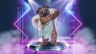 The Masked Singer – The Masked Singer (2021)