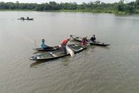 360° - Geo-Reportage – Fangsaison am Amazonas: auf der Jagd nach dem Riesenfisch Arapaima. Die Art hat Millionen Jahre Evolution weitgehend unverändert überdauert.