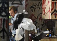 Hawaii Five-0 – Ermittelt gemeinsam mit Steve in einem äußerst brutalen Fall: Danny (Scott Caan) ...
