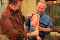 Jurassic C.S.I. – PROVO, UT, USA: Paleontologists Dr. Mathew Wedel and Dr. Phillip Lars Manning hold up the leg bone of a cow, demonstrating the differences between the bone of a mammal and that of a dinosaur.