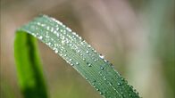 Wiener Wasser – Natur und Umgebung des Hochschwab nach Regen.