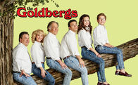 Die Goldbergs – Die Goldbergs (2015)