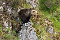 Wildes Spanien – An der abwechslungsreichen Küstenlinie Nordspaniens finden sich traumhafte Buchten. Weitere Fotos erhalten Sie auf Anfrage.