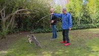 Der Katzenflüsterer – Eric plays with Stevie and Wonder in the backyard with Jackson.