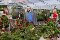 Die Rosenheim-Cops – Peter Herbig (Martin Wißner, l.), der Neffe des Verstorbenen, arbeitet, wie sein verstorbener Onkel, in der Gärtnerei Benkelmann. Können die Kommissare Stadler (Dieter Fischer, M.) und Winter (Vanessa Eckart, r.) aus dem Kreis der Verdächtigen ausschließen?
