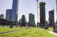 Inselwelt New York – Zusammen mit dem New Yorker Messezentrum begrünt die Umweltorganisation New York Audubon Society das fast 30.000 Quadratmeter große Dach des Javits Centers und schafft damit einen einzigartigen Lebensraum für Insekten, Fledermäuse und Vögel.