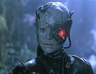 Star Trek - Raumschiff Voyager – Fr, 17.04., 18:10 Uhr