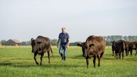 Land und lecker – Am Rande des Münsterlandes lebt Patrick Balster auf dem elterlichen Hof und züchtet Wagyu-Rinder im Nebenerwerb.