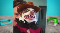 Most Ridiculous – Do, 06.03., 06:00 Uhr