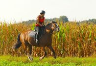 Anna und die Haustiere – Anna fühlt sich auf dem Rücken ihres Pferdes in der Natur frei und glücklich.