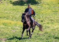 Navy CIS – Nick Torres (Wilmer Valderrama)