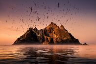 Wildes Irland - Die grüne Insel – Die Insel "Little Skellig", Co. Kerry, Irland.