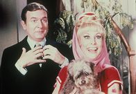 Bezaubernde Jeannie – Bill Daily (Roger Healey), Barbara Eden (Jeannie).