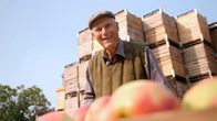 Lebenswege – Günther von Riegen ist auch mit 88 Jahren noch täglich auf dem Apfelhof in Neuenfelde unterwegs. Hier hilft er beim Sortieren.