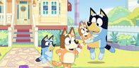 Bluey – L-R: Bluey, Chilli, Bingo und Bandit