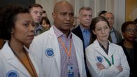 Bull – Bull (2019)