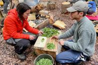 Mona mittendrin – Mona mittendrin Im Survival-Training Gesammelte Wildkräuter: Nach 24 Stunden ohne Nahrung gibt es wieder zu essen. 2022