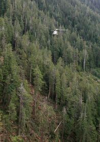 Holzfäller extrem – Coulson Logging as seen on Extreme Loggers.